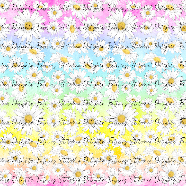 Rainbow Daisies