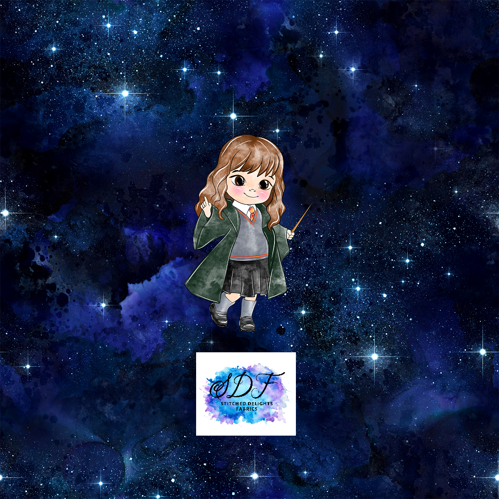 Galaxy Potter Hermione Panel
