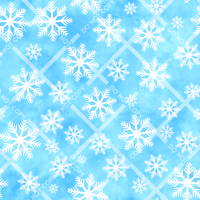 Winter Wonderland Blue Co-Ord