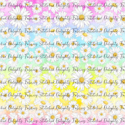 Rainbow Daisies