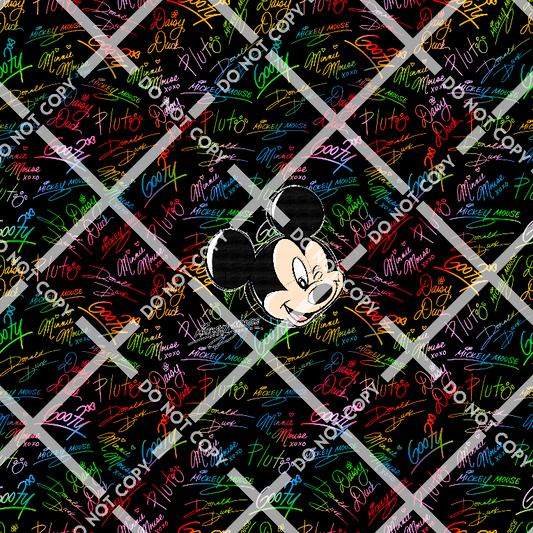 Mickey Autographs Panel