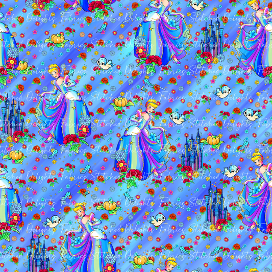 Princesses & Castles A Dream Is A Wish