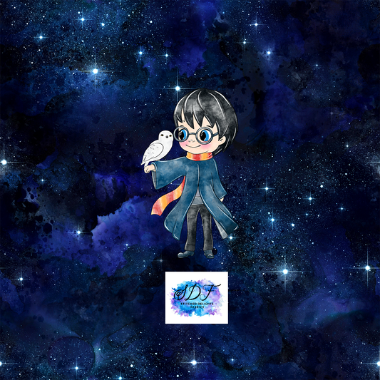 Galaxy Potter Harry Panel
