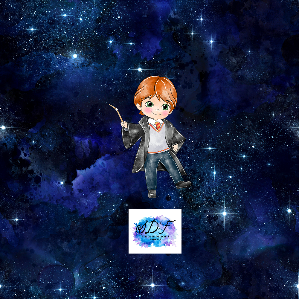 Galaxy Potter Ron Panel